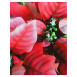 Happy Holidays_ Custom Letterhead