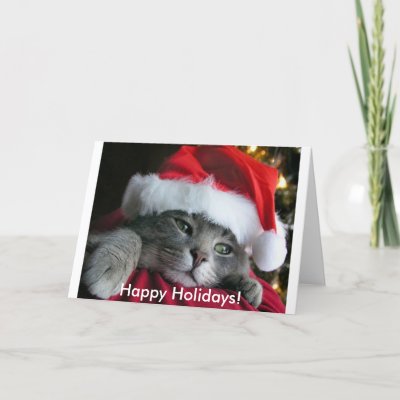 Happy Holidays! Cute Kitten Card