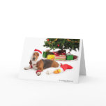 Happy Holidays/December Greeting Cards