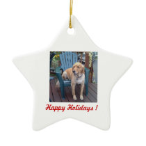 Happy Holidays ! - Dunbar Christmas Tree Ornaments