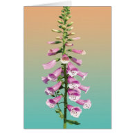 Happy holidays flowers greeting card