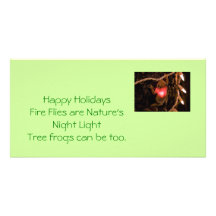 Happy Holidays Froglight. Personalized Photo Card