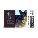 Happy Holidays German Shepherd in Snow Stamps