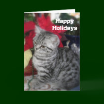 Happy Holidays - kitten christmas card