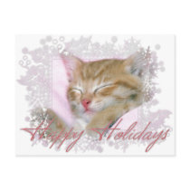 Happy Holidays Kitten - Holiday Postcards