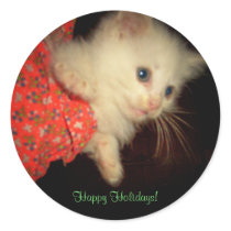 Happy Holidays!-Kitten in Stocking Stickers stickers