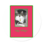 Happy Holidays Kitty Cat Christmas C  ard Stickers