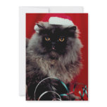 Happy Holidays Kitty Cat Invitations