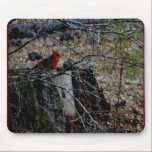 Happy Holidays mousepads