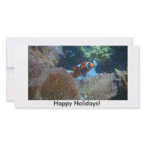 Happy Holidays! photo cards by cherryblossom518 Happy Holidays! photo cards