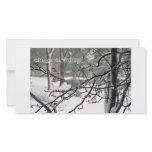 Happy Holidays Personalized Photo Card