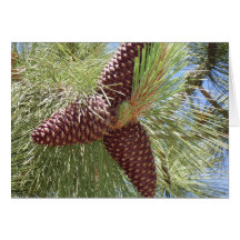 Happy Holidays - Pine Cones Card