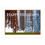 Happy Holidays Post Card