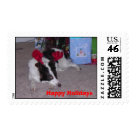 postcard - 