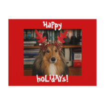 HaPpy HoLiDayS postcards