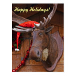 Happy Holidays Postcard