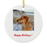 Happy Holidays !  Reba ornaments