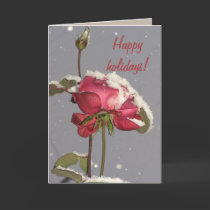 Happy holidays- red rose with snow cover cards