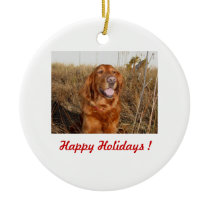 Happy Holidays ! Scooby Ornaments