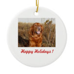 Happy Holidays ! Scooby ornaments