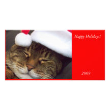 Happy Holidays Smiling Kitty Photo card