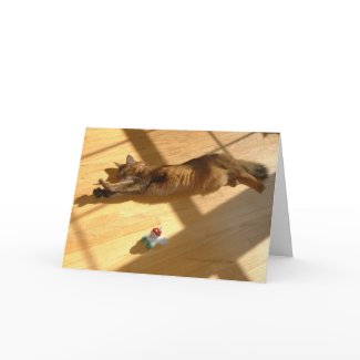 Happy Holidays, Somali Cat Style card