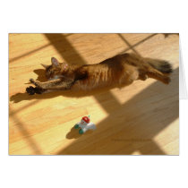 Happy Holidays, Somali Cat Style cards