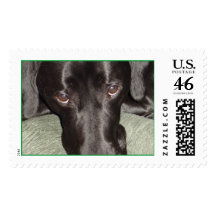 Happy Holidays! Stamp