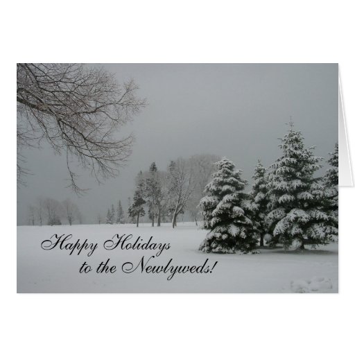 Happy Holidays To The Newlyweds-winter Snow-scene Card 