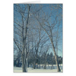 Happy Holidays Trees cards