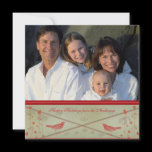 Happy Holidays Whimsical  Red Bird Card