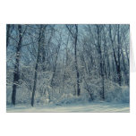 Happy Holidays Winter Trees cards