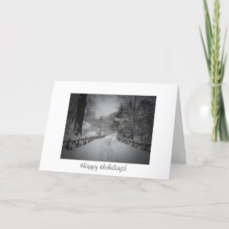 Happy Holidays - Winter Wonderland - Central Park card