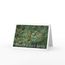 happy holly daze greeting cards