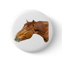 Happy horse buttons