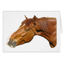 Happy horse cards