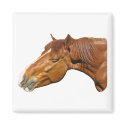 Happy horse magnets