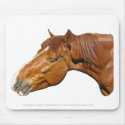Happy horse mousepads by Leenashorses Happy horse mousepads