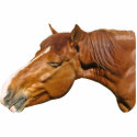 Happy horse photo sculptures