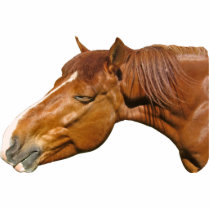 Happy horse photo sculptures by Leenashorses Happy horse photo sculptures