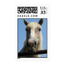 happy horse postage