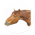Happy horse stickers