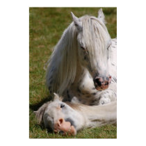 Happy Horses, East Sussex. Posters