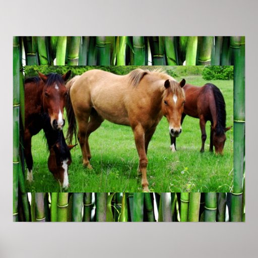 Horse Barn Posters, Horse Barn Prints, Art Prints, Poster Designs