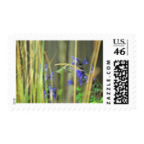 Happy Hummer III postage by melaniemle Happy Hummer III postage