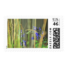 Happy Hummer III Stamp