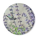 Happy Hummingbird II Fridge Magnets