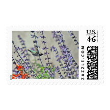 Happy Hummingbird II Stamps
