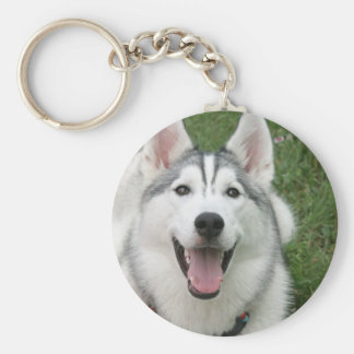 husky plush keychain