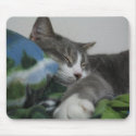 Happy Kitty mousepads by laughingwillow Happy Kitty mousepads